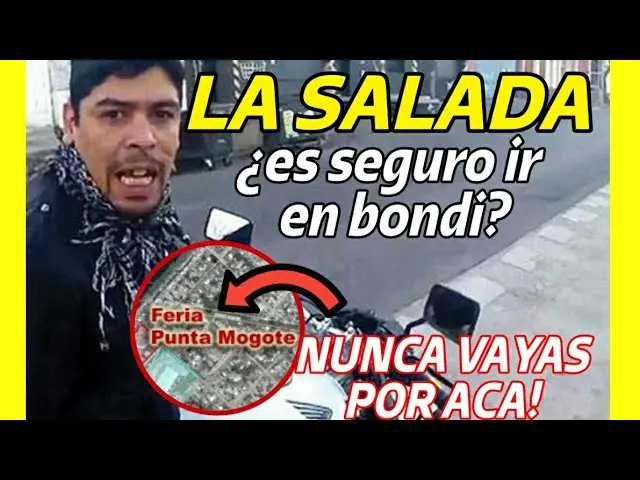 ¿Qué colectivo me deja en la feria Punta Mogotes? - Qué colectivo me deja en el puerto de Mar del Plata que colectuvo me deja en la feria punta mogote - Qué colectivo me deja en el puerto de Mar del Plata
