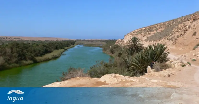 Por qué el agua dulce no se mezcla con la salada - Qué pasa si mezclas un lago con el mar porque el agua dulce no se mezcla con la salada - Qué pasa si mezclas un lago con el mar
